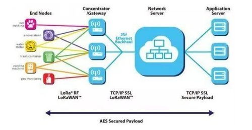 航順芯片 醫(yī)療芯片出貨領(lǐng)跑，物聯(lián)網(wǎng)賽道聚焦智慧計(jì)量新藍(lán)海